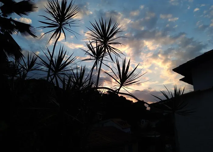 Raizes Do Brasil Rj